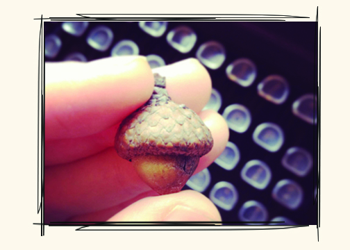 acorn copy