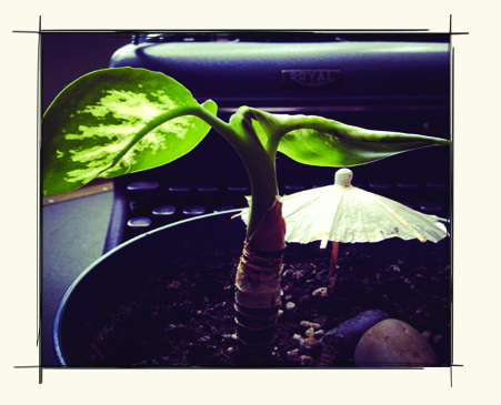 houseplant copy