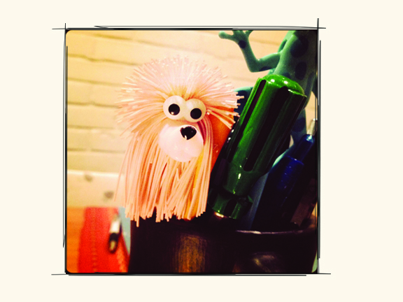 poodle pen